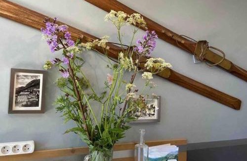 Avoriaz Apartamento | Penthouse Apartment 28m² in Avoriaz right next to 3 ski lifts, lake view