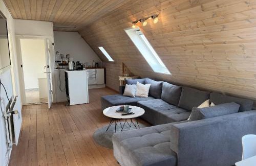 Esbjerg Apartamento | Penthouse apartment in Esbjerg townhouse