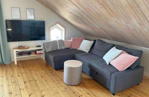 Mora Apartamento | Penthouse close to Vasaloppet finish line portal