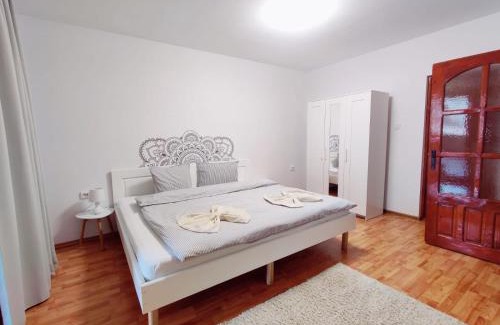 Tirgu Mures Apartamento | Penthouse Daniela - 3 Rooms in a Spacious Central Apartment