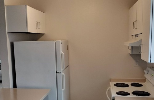 St. Louis Apartamento | PENTHOUSE in the Delmar Loop area with amazing city views. Very family friendly.