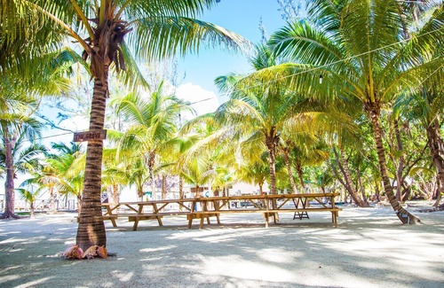 Thatch Caye Complejo | Penthouse Oceanfront Cabana w/ Private Ocean-Facing Balcony & Amazing Views