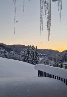 Reichenau Apartamento | Penthouse Skyview im Natur-Erlebnispark Bad Kleinkirchheim