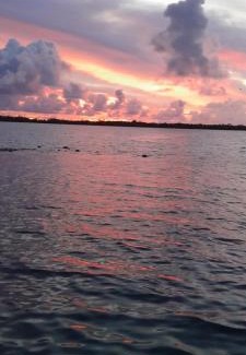 Te-Fare-Arii Casa | Penu Maurua 1