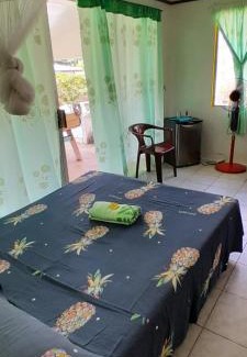Te-Fare-Arii Casa | Penu Maurua 1