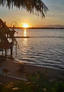 Te-Fare-Arii Casa | Penu maurua