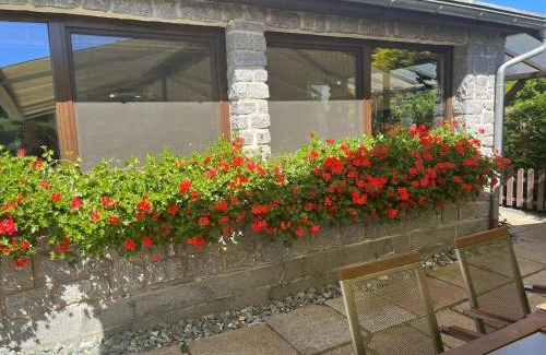 Sluknov Apartamento | Penzion a restaurace Balaton