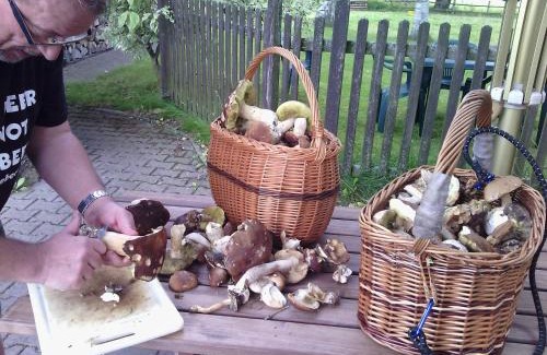 Horni Vltavice Casa | Penzion Bázum
