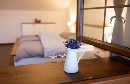 Blatnice pod Svatym Antoninkem Casa | Penzion BLATNICE