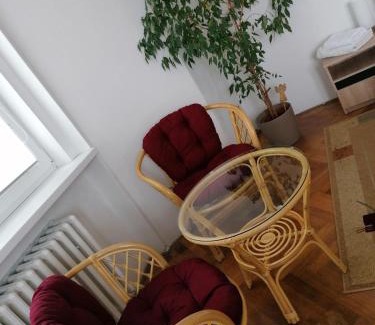 Zatec Apartamento | Penzion Flóra