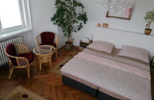 Zatec Apartamento | Penzion Flóra