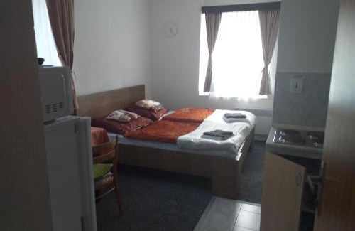 Strasin Apartamento | Penzion Na Výsluní