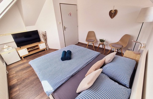 Usti nad Labem District Casa | Penzion Orion