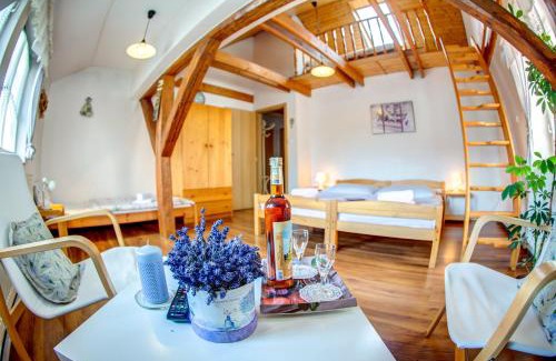 Lazne Belohrad Casa | Penzion Petra