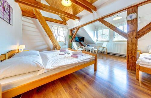 Lazne Belohrad Casa | Penzion Petra