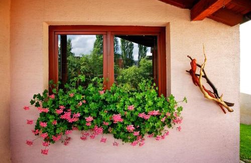 Poprad Casa | Penzion Plesnivec