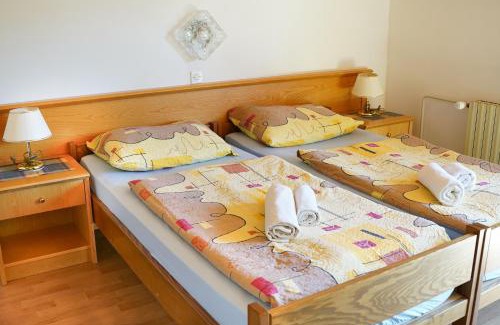 Ribcev Laz Cama Y Desayuno | Penzion Rožič