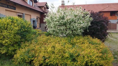 Stare Sedlo Casa | Penzion Staré Sedlo