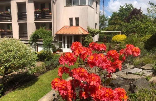Ceska Ves Casa | Penzion Swist
