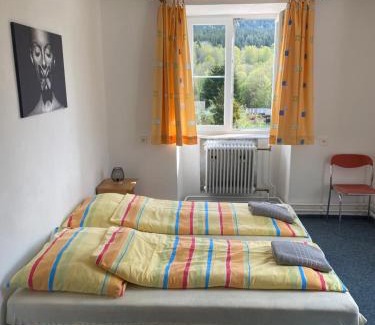 Horni Vltavice Apartamento | Penzion Tereza