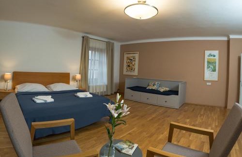 Tabor Casa | Penzion THIR