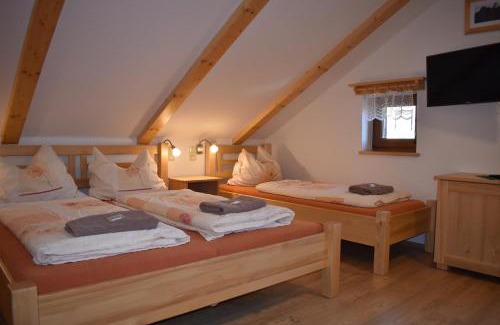 Zelezna Ruda Casa | Penzion U Jelena