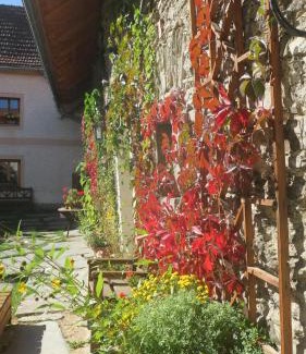 Omlenice Casa | Penzion Vinicky dvůr