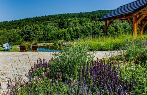 Hojna Voda Apartamento | Penzion Zvon