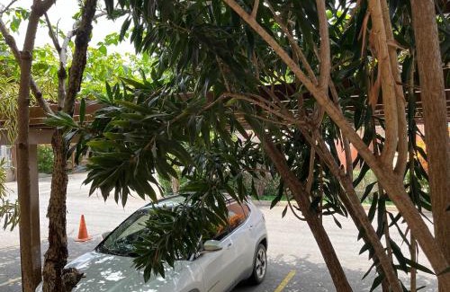 Jardim Paraiso Apartamento | Pequeno Paraíso I