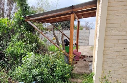 Diamante Casa | Pequinos