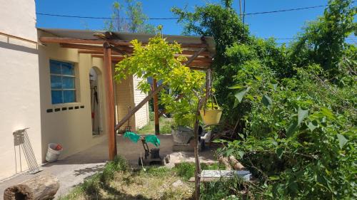 Diamante Casa | Pequinos