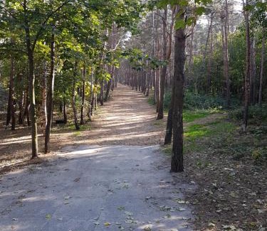 Cetniewo Apartamento | Perła Południa Hryniewieckiego 7C