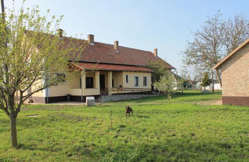 Mezohegyes Casa | Peregi Vendégház