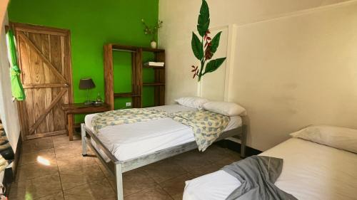Cahuita Apartamento | Perezoso Lodge