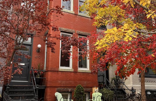 Stanton Park Casa | Perfect Capitol Hill Location - Close to Sights, Restaurants and Transportation