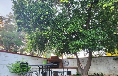 Winters Casa | Perfect for Family or Group Stay! Walk to Downtown + Easy Checkout
