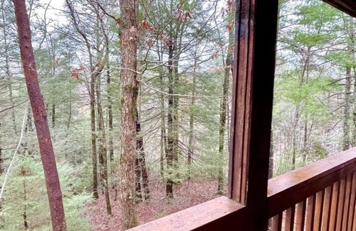 Tellico Plains Cabina | Perfectly private! Hot tub, king sized bed, grill, washer/dryer, and motorcycle friendly! Studio Cabin by RedAwning