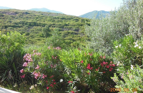 Valpaja Apartamento | Peri: casa / villa / chalet - PERI