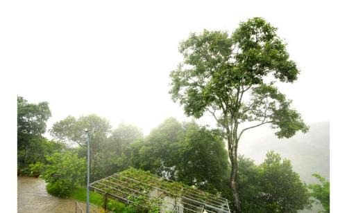 Elappara Apartamento | Periyar Heritage Homestay