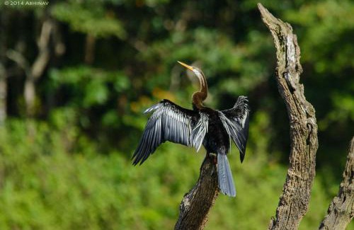 Thekkady Complejo | Periyar House
