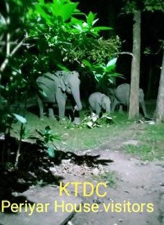 Thekkady Complejo | Periyar House