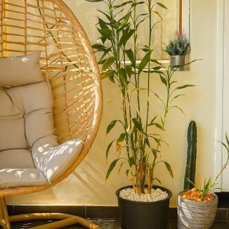 Saint-Leu Apartamento | Perle d'Océan