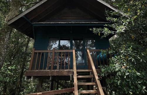 Santubong Complejo | Permai Rainforest Resort