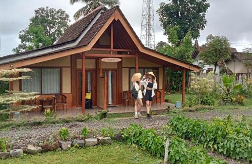Banyuwangi Casa | Pesona Java Ijen Homestay