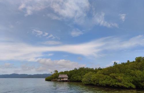 Sawinggrai Casa | Pesona Papua Homestay