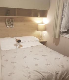 Clacton-on-Sea Otro | PET FREE family mobile Home sleeps 8 with large secured decking Sea wick holiday park