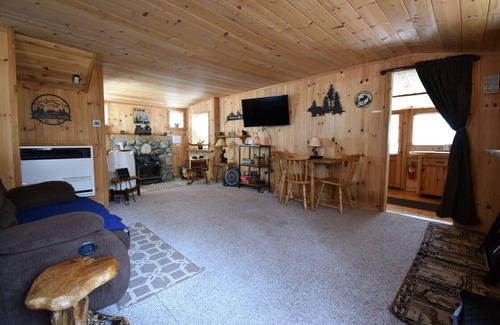 Idyllwild Cabina | Cabaña que admite mascotas con patio trasero completamente cercado. Muy acogedor, tranquilo!