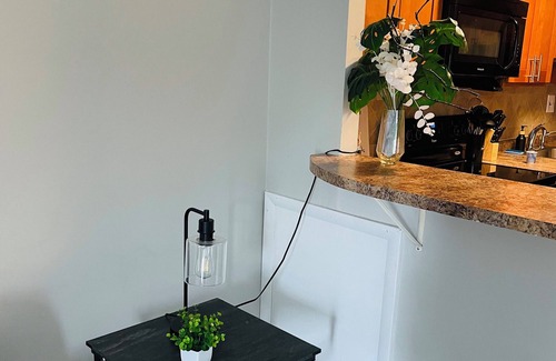 Elkins Park Apartamento | Modern 1BR in Elkins Park