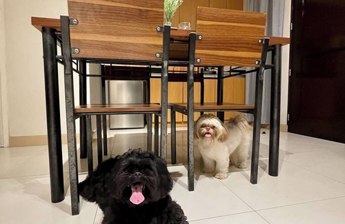 Poblacion District Condominio | Pet Friendly 2BR Condo with PS4 near Abreeza Mall