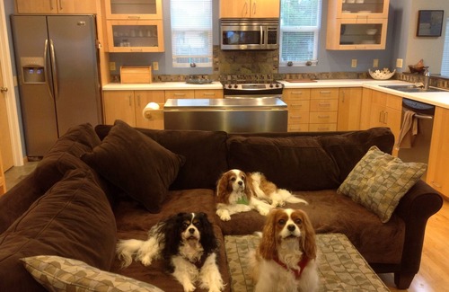 Crescent City North Apartamento | Apartamento que admite mascotas con hermosas vistas al mar y Puppy Park
